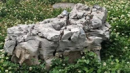 微信图片_20180629073351