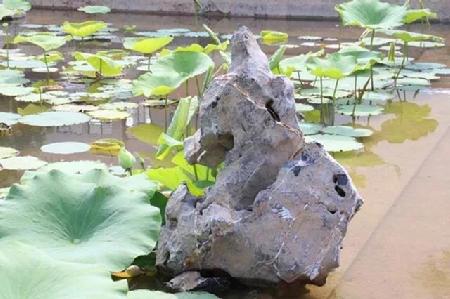 微信图片_20180629073328